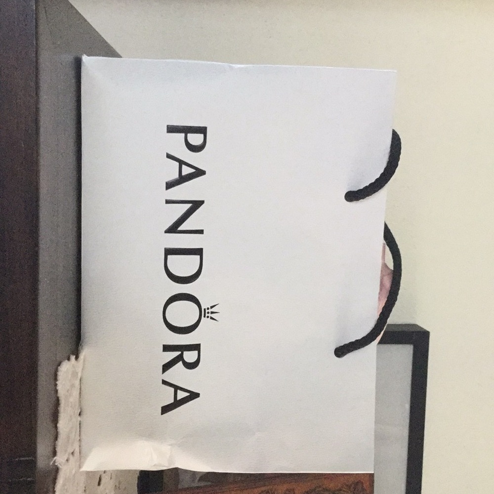 Pandora necklace (BRAND NEW NEVER WORN)